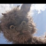 Le paradoxe du chat - Festival RéciDives