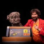 Le paradoxe du chat - Festival RéciDives