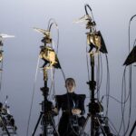 Corvidae. Quand les espèces se regardent - Le Sablier